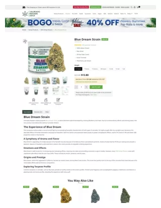Discover the Best Blue Dream Strain at Colorado Breeder Depot | Up to 40% Off