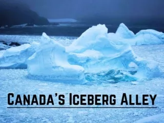 Canada's Iceberg Alley