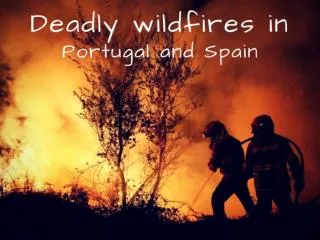 Deadly Wildfires Devastate Spain and Portugal