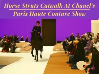 Horse struts catwalk at Chanel's Paris Haute Couture show