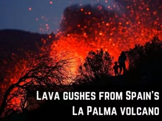 Lava gushes from Spain's La Palma volcano
