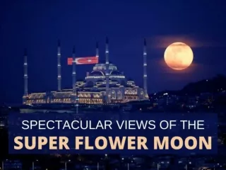 Spectacular views of the super flower moon