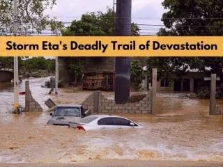 Storm Eta's deadly trail of devastation