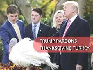 Trump pardons Thanksgiving turkey