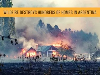 Wildfire destroys hundreds of homes in Argentina