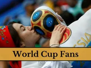 World Cup Fans 2018